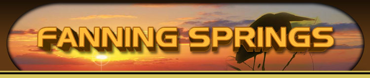 Fanning Springs Florida, Fanning Springs Fl, Fanning Springs, Fanning Springs State Park, Suwannee River, Nature Coast